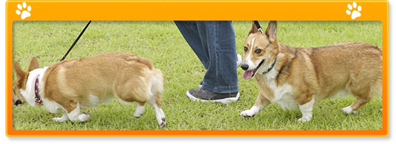 ���T�̃x�X�gPhoto!